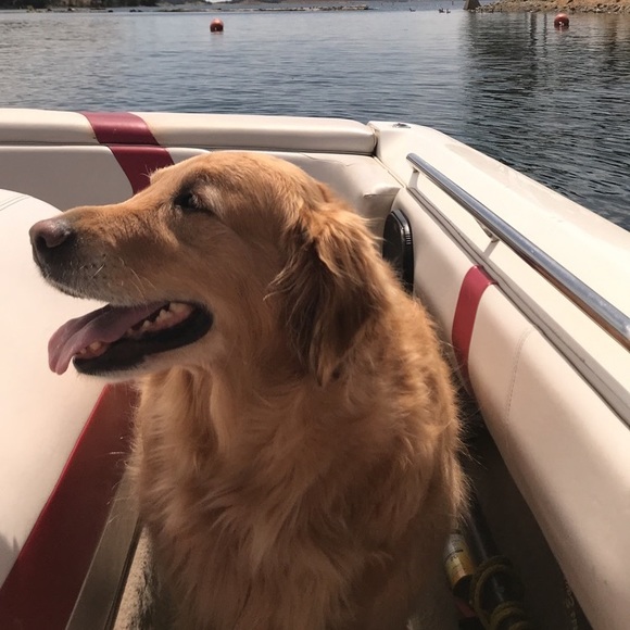 Meet your Posher, Hope - Picture 1 of 1